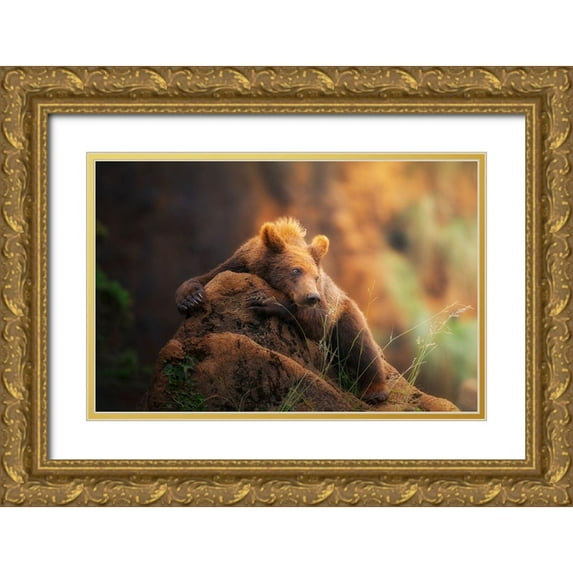 Saavedra Ruiz, Sergio 14x11 Gold Ornate Wood Framed with Double Matting Museum Art Print Titled - Bear Portrait