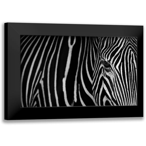 Saavedra Ruiz, Sergio 18x12 Black Modern Framed Museum Art Print Titled - Stripes