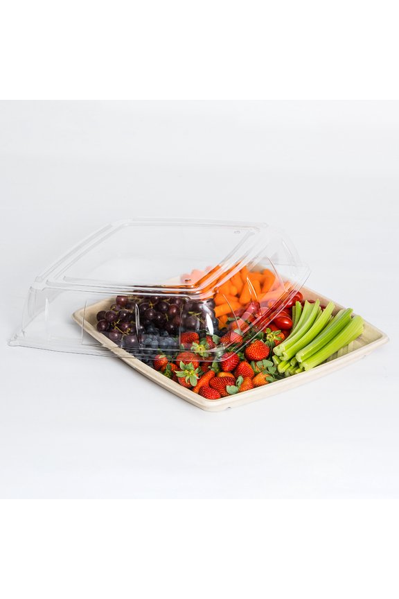 Sabert TerraPac Clear, Sustainable PET Plastic Lid for 16 Inch Pulp Fiber Food Platter Tray | 25/Case