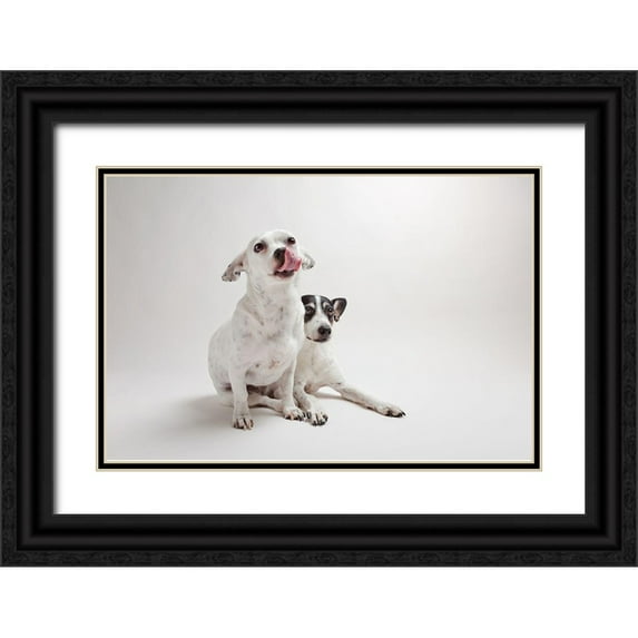 Sabo, Susan 14x11 Black Ornate Wood Framed with Double Matting Museum Art Print Titled - Mouse and Jack
