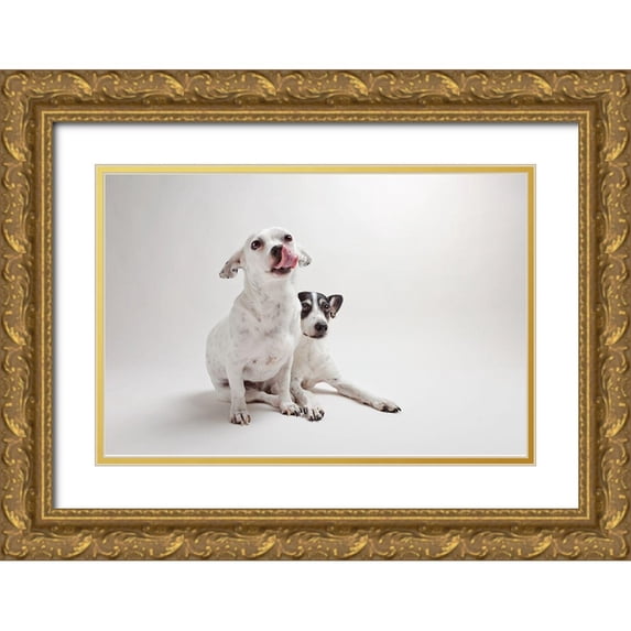 Sabo, Susan 14x11 Gold Ornate Wood Framed with Double Matting Museum Art Print Titled - Mouse and Jack