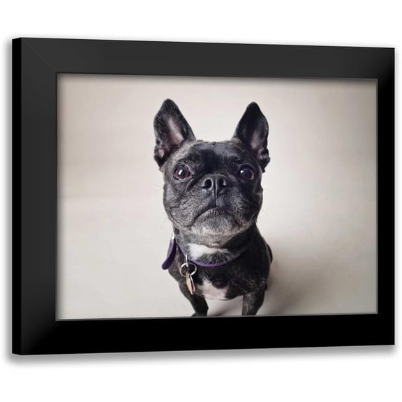 Sabo, Susan 14x12 Black Modern Framed Museum Art Print Titled - Bailey