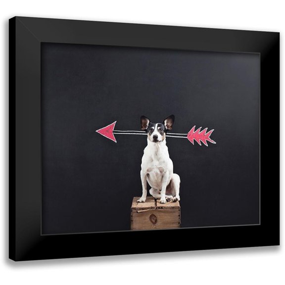 Sabo, Susan 14x12 Black Modern Framed Museum Art Print Titled - Prankster