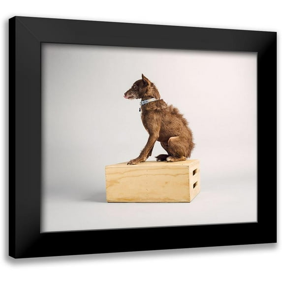 Sabo, Susan 18x15 Black Modern Framed Museum Art Print Titled - Side Eye
