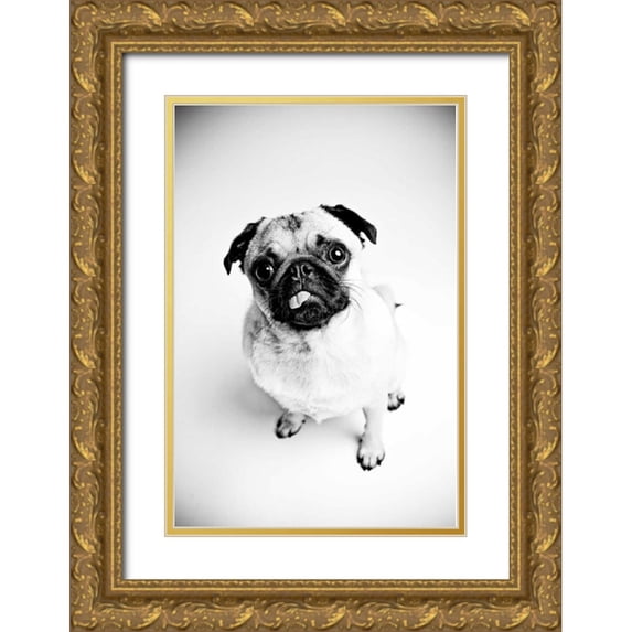 Sabo, Susan 23x32 Gold Ornate Wood Framed with Double Matting Museum Art Print Titled - Piggie 7