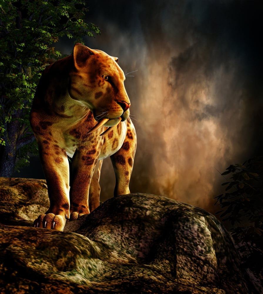 Sabre-toothed cat on the prowl Canvas Art - Philip BrownlowStocktrek Images (27 x 30)