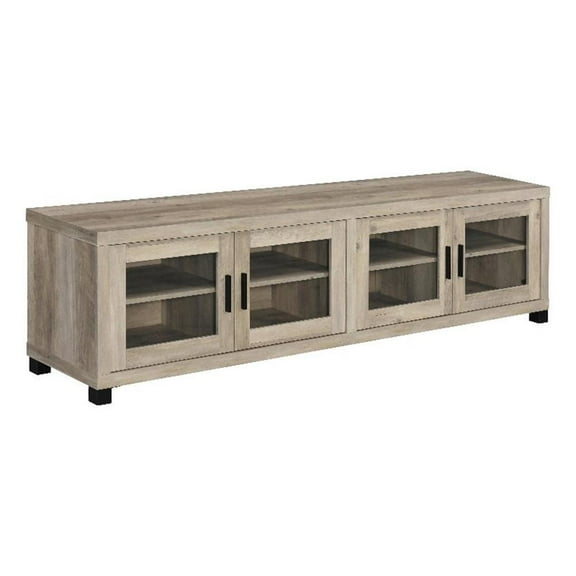 Sachin Rectangular TV Console with Glass Doors