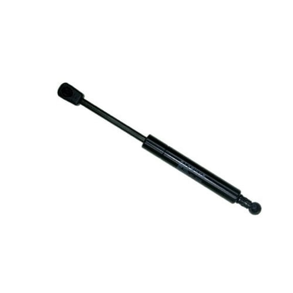 Sachs Sg406004 Lift Support