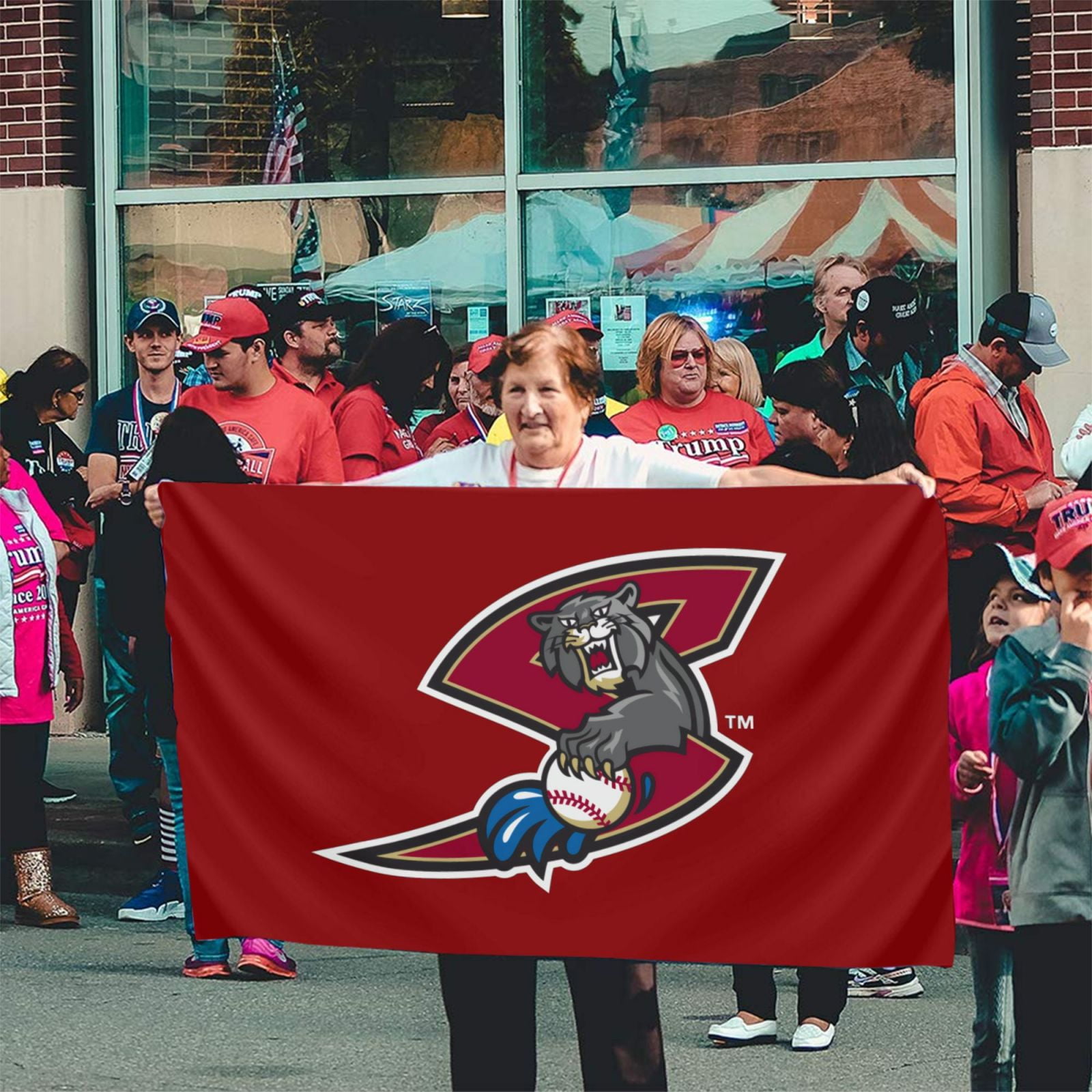 Sacramento River Cats Flag 3x5 Outdoor ,Sewn Stripes, Stronger Brass