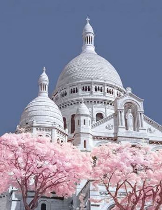 Sacre Coeur Infrared-Paris Canvas Art - David Clapp (22 x 28)