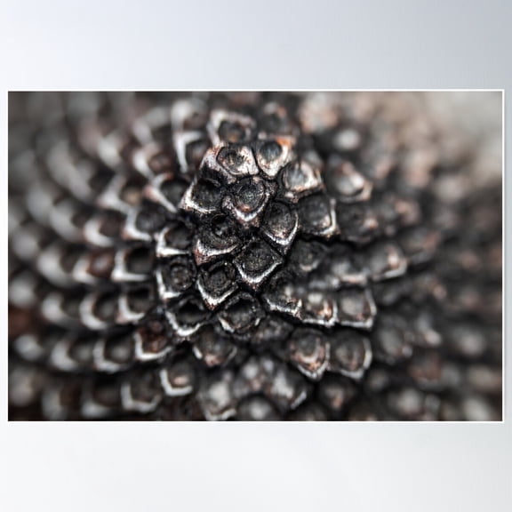 Sacred Geometry: Pinecone Fibonacci Spiral In Black And Silver Poster Wall Art, Modern Wall Decor For Living Room Bedroom, 24x36 UNFRAMED