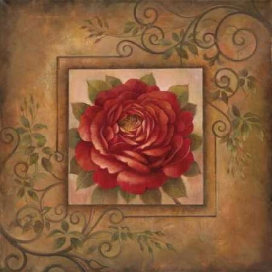 Sacred Rose II Canvas Art - Elaine Vollherbst-Lane (24 x 24)
