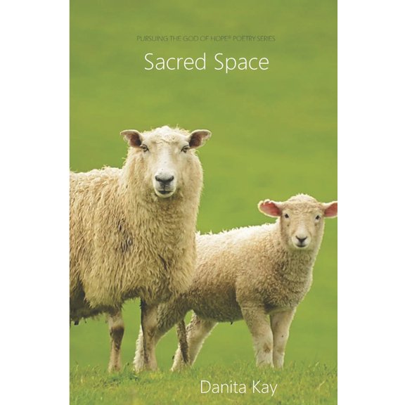 Sacred Space (Paperback)