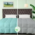 thumbnail image 1 of Sacred Thread Reversible Bamboo Comforter - Soft & Lightweight - Down Alternative Filling, Cooling, 1 of 8