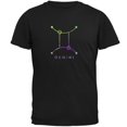 thumbnail image 1 of Sacred Zodiac Gemini Mens T Shirt Black 4X-LG, 1 of 1