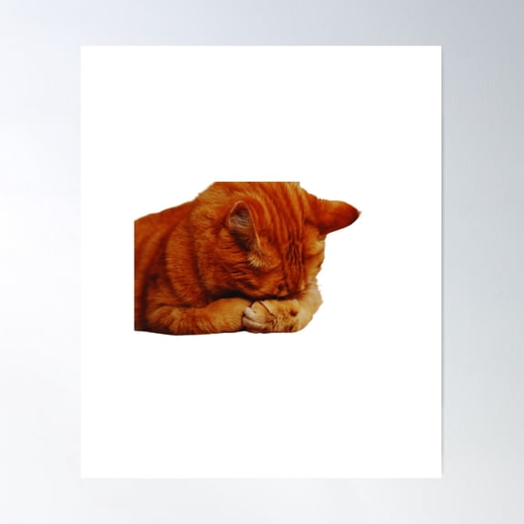 Sad Cat Sticker . Poster Wall Art, Modern Wall Decor For Living Room Bedroom, 12x18 UNFRAMED