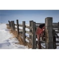 thumbnail image 1 of Saddle Hanging on A Wooden Fence in Winter - Regina Saskatchewan Canada Poster Print - 19 x 12 in., 1 of 1