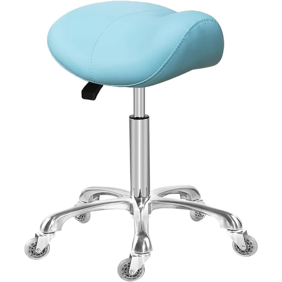 Saddle Stool Dental Hygienist Chair with Back Support  Rolling Esthetician Saddle Stool for Lash Salon Tattoo Shop  Dentist Clinic (with Backrest  )