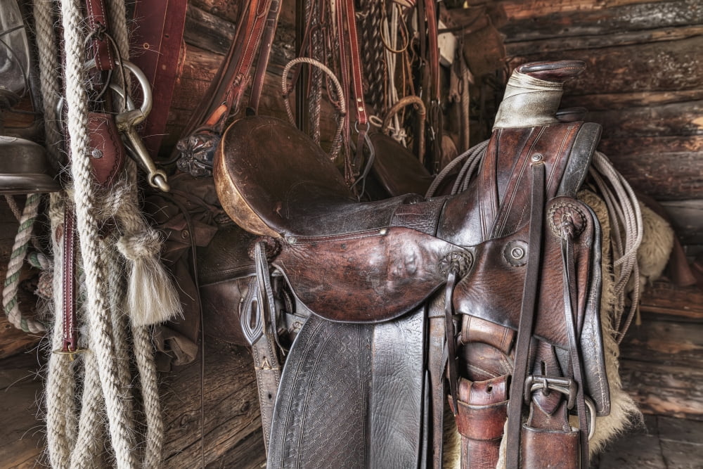 Saddle and horseback riding equipment at Bar U Ranch National Historic Site Longview Alberta Canada Canvas Art - Ken Gillespie Design Pics (19 x 12)