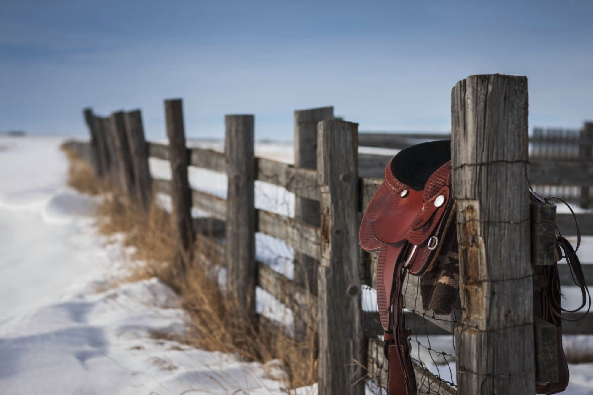 Saddle hanging on a wooden fence in winter Regina Saskatchewan Canada Canvas Art - Greg Huszar Design Pics (38 x 24)
