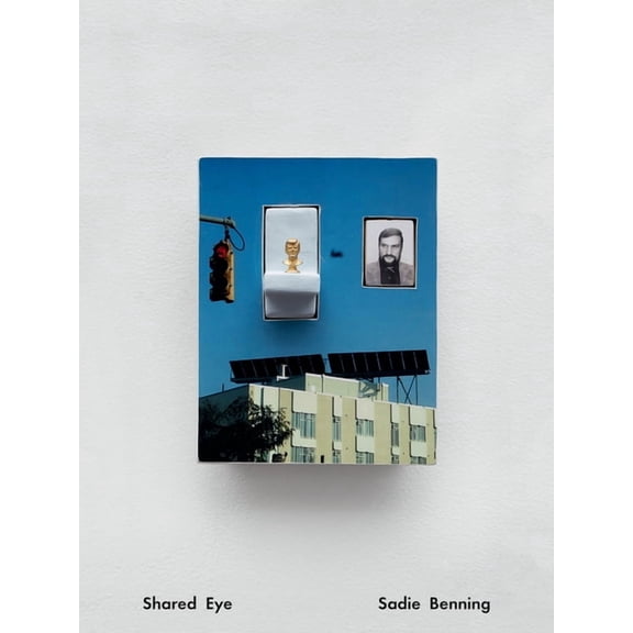 Sadie Benning : Shared Eye (Hardcover)