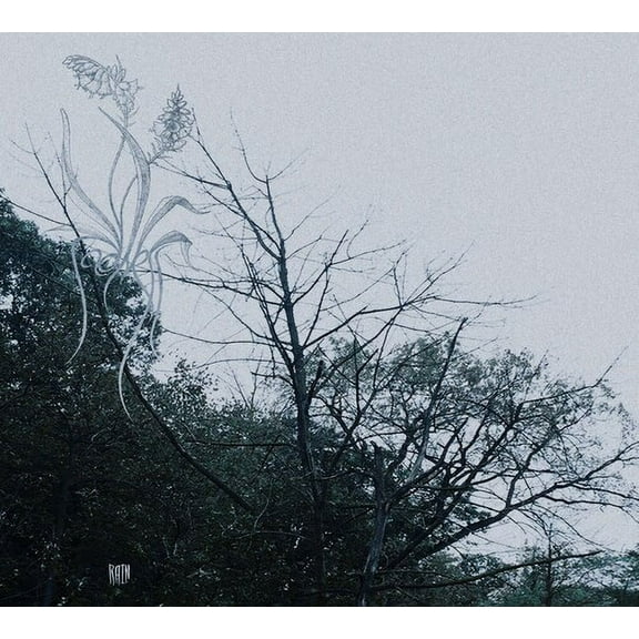 Sadness - Rain - Music & Performance - Cassette