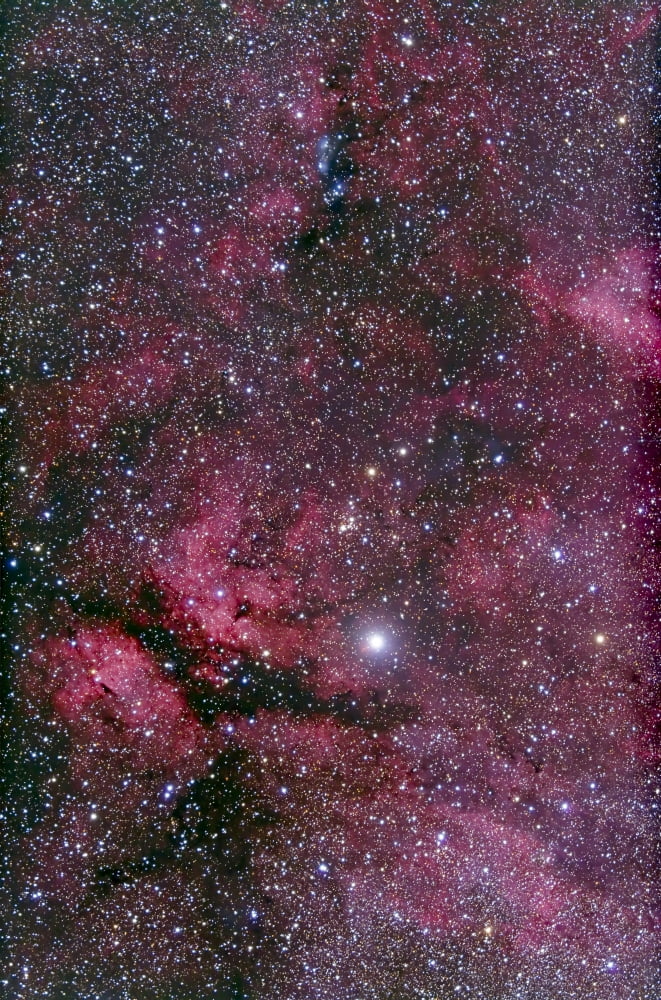 Sadr region of Cygnus around Gamma Cygni Canvas Art - Alan DyerStocktrek Images (23 x 35)
