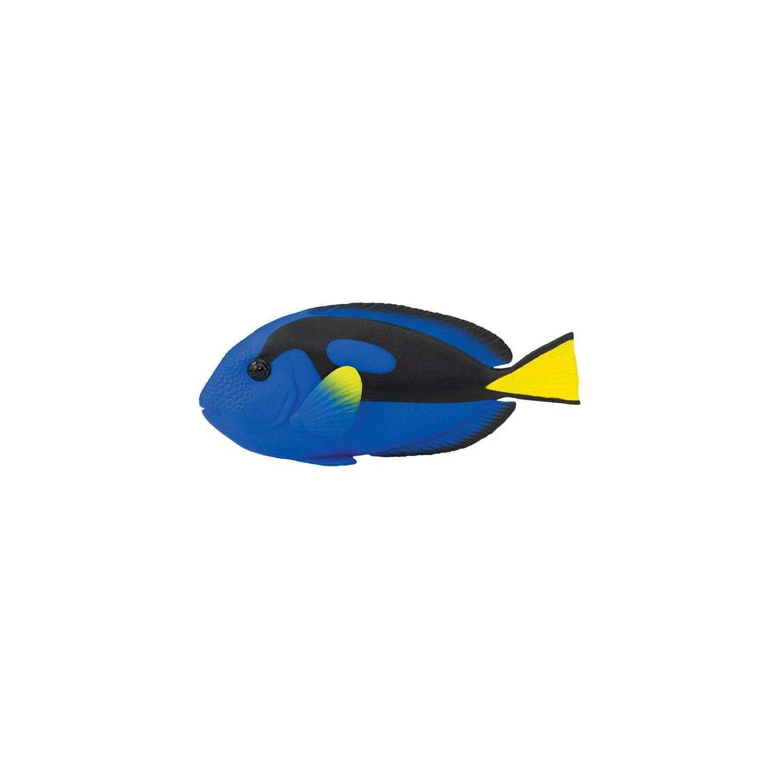 Safari Ltd. Blue Tang Figurine - Realistic 4.75