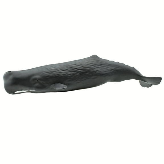 Safari Ltd. Sperm Whale Figurine - Lifelike 9" Whale Figure - Educational Toy for Boys, Girls & Kids Ages 1+
