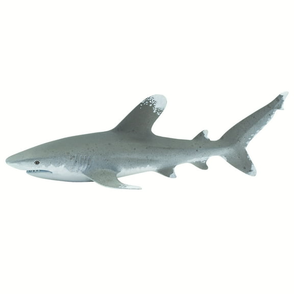 Safari Ltd. Oceanic Whitetip Shark - Realistic 6" Marine Figure - Educational Toy for Boys, Girls, & Kids Ages 3+