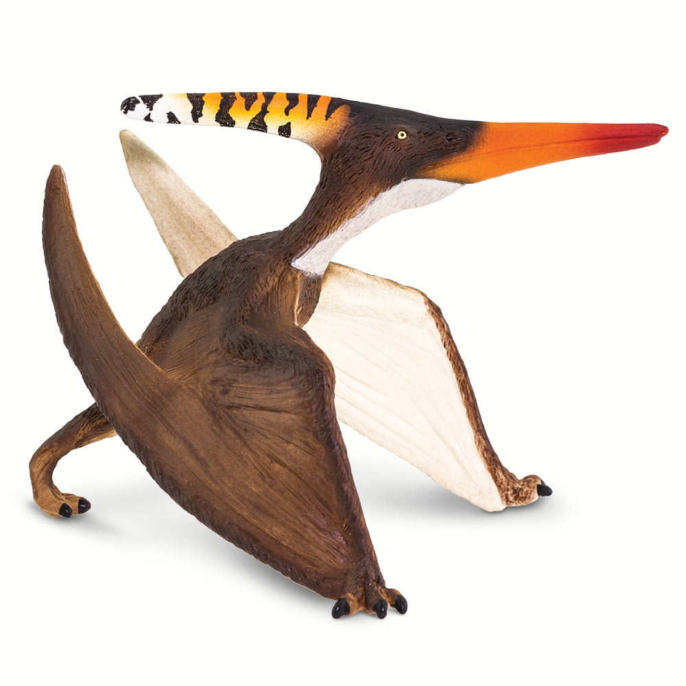 Safari Ltd Pteranodon Dinosaur Figurine in Multicolor