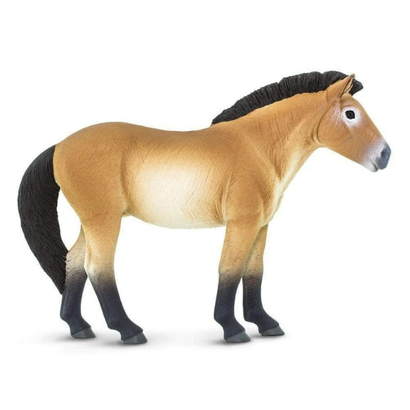 Safari 153505 Przewalskis Horse Figurine Multi Color