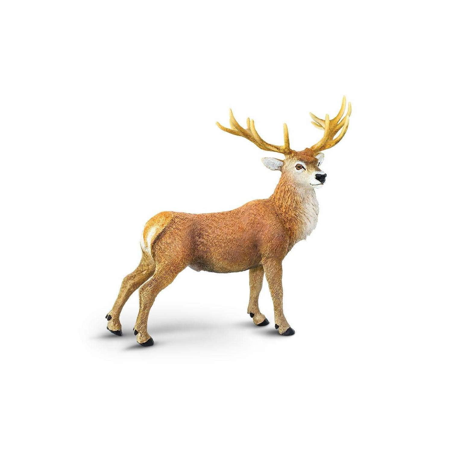 Safari Ltd. Red Deer Stag Figurine - Lifelike 4.75
