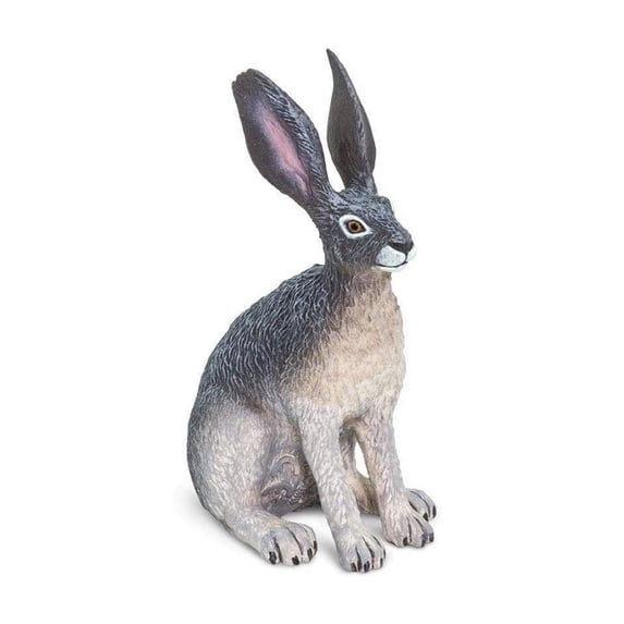 Safari Ltd. American Desert Hare Figurine - Lifelike 3" Model Figure - Educational Toy for Boys, Girls, and Kids Ages 3+