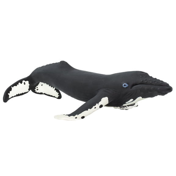 Safari Ltd. Humpback Whale Figurine - Realistic 7" Model Figure - Educational Toy for Boys, Girls, and Kids Ages 1+