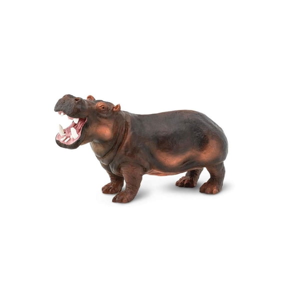 Safari Ltd. Hippopotamus Figurine - Lifelike 5" Figure - Educational Toy for Boys, Girls, & Kids Ages 3+