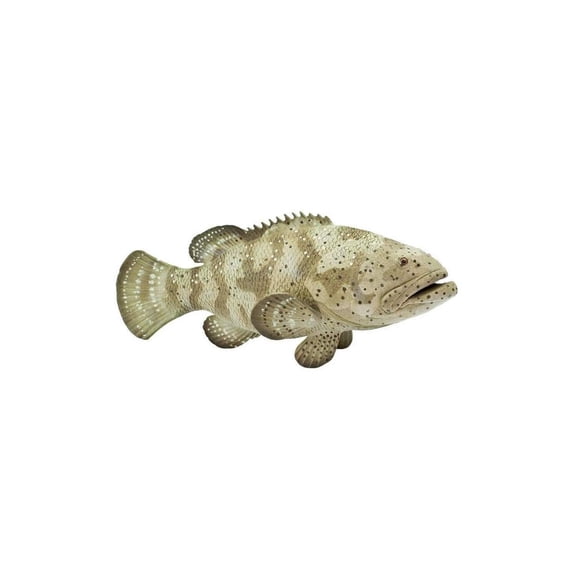 Safari Ltd. Goliath Grouper Figurine - Lifelike 5.75" Model Figure - Educational Toy for Boys, Girls, and Kids Ages 3+