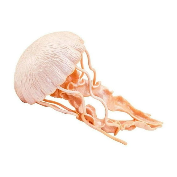 Safari Ltd. Jellyfish Figurine - Lifelike 5" Model Figure - Educational Toy for Boys, Girls, and Kids Ages 3+