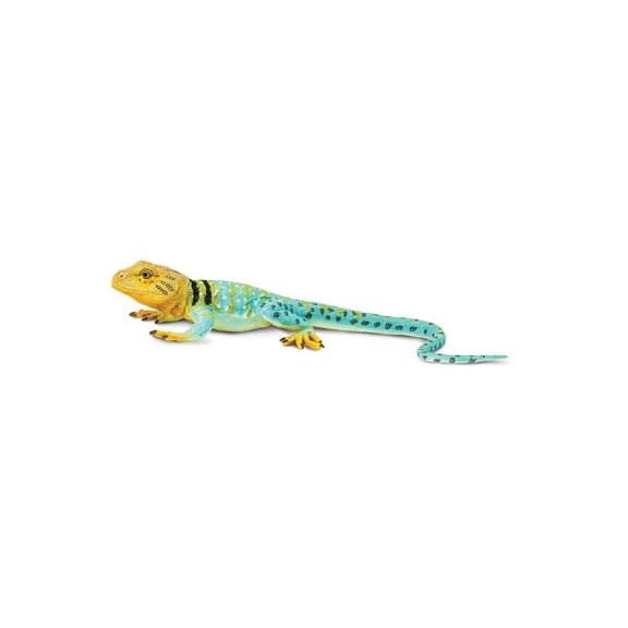 Safari Ltd. Collared Lizard Figurine - Realistic 7.25" Figure - Educational Toy for Boys, Girls, and Kids Ages 3+