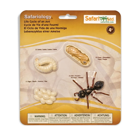 Safari Ltd. Life Cycle of an Ant Set - Detailed Educational Toy Figurines - Realistic Ant Development Stages Collection for Kids Age 4+