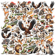 thumbnail image 1 of Safari Animal Stickers Wildlife Funny Stickers Cute Stickers for Luggage Laptops Phones, 1 of 9