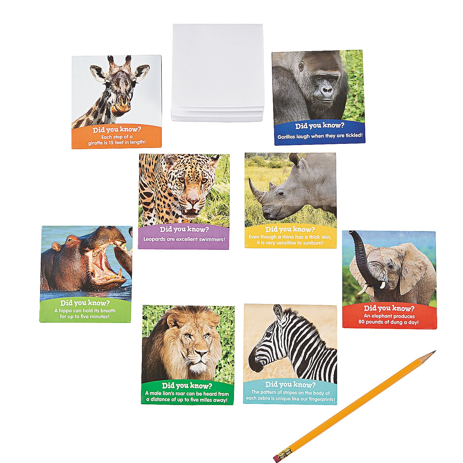 Fun Animal Note Pad Fun Express - Safari Animals Notepad - Stationery - Notepads - Notepads ...