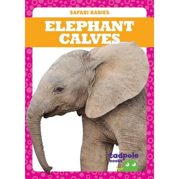 Safari Babies: Elephant Calves (Hardcover)