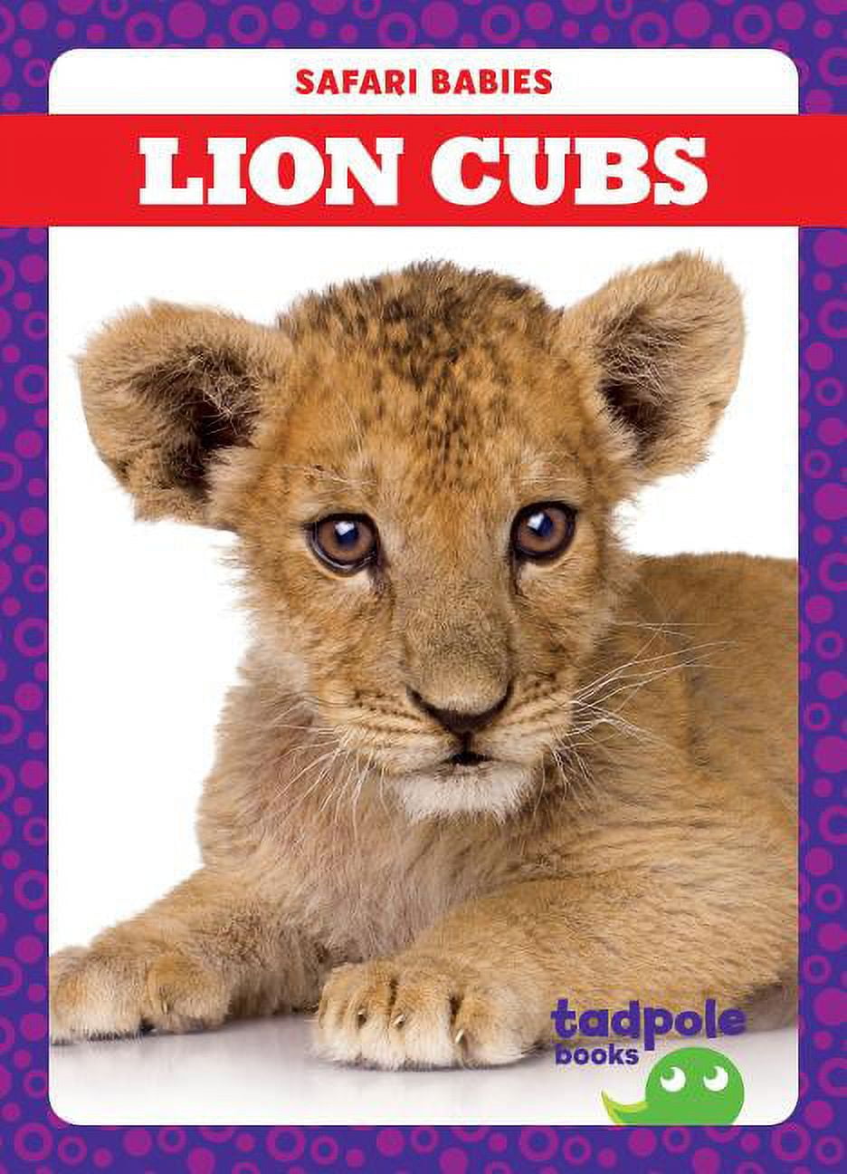 Safari Babies: Lion Cubs (Paperback)
