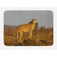 thumbnail image 1 of Safari Bath Mat, African Wild Animal Cheetah Standing on Termite Mound Savannah Nature View, Non-Slip Plush Mat Bathroom Kitchen Laundry Room Decor, 29.5 X 17.5 Inches, Ginger Apricot Dust, Ambesonne, 1 of 2