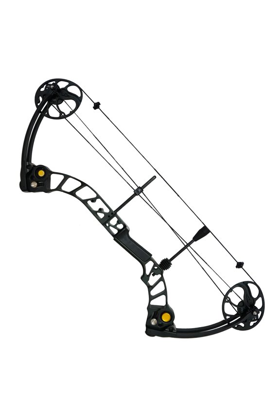 Professional Hunting Black Compound Bow