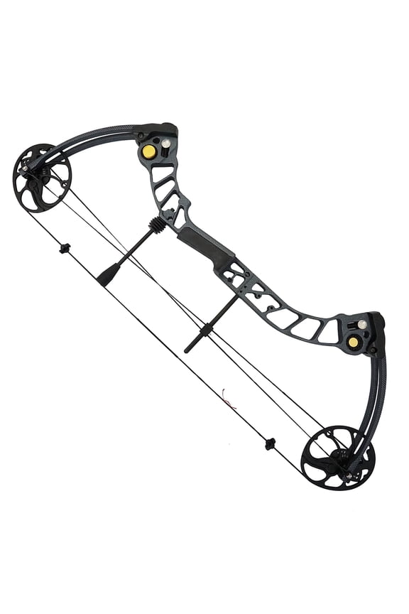Professional Hunting Carbon Compound Bow