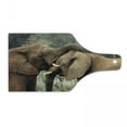 thumbnail image 1 of Safari Cutting Board, 2 Wild Savannah Elephants Wrestling Nature South Animals Photo, Decorative Tempered Glass Cutting and Serving Board, in 3 Sizes, by Ambesonne, 1 of 2