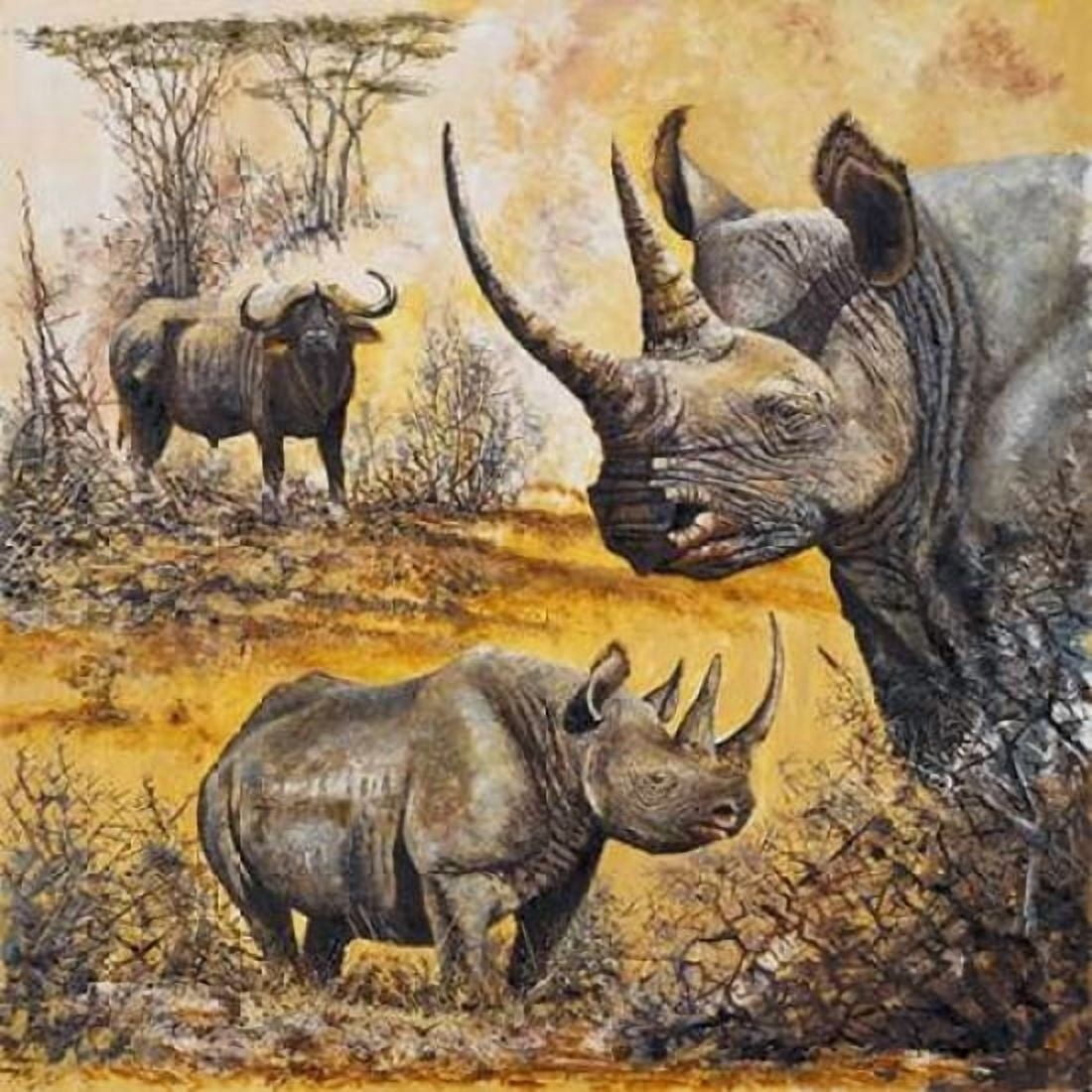 Safari I Canvas Art - Peter Blackwell (24 x 24)
