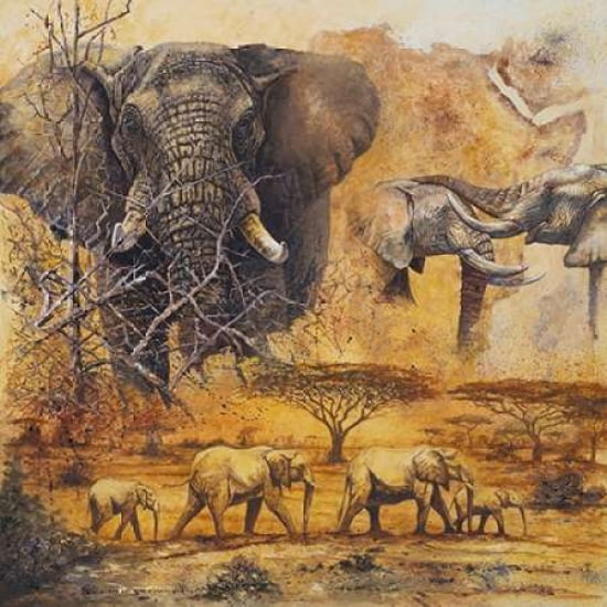 Safari II Canvas Art - Peter Blackwell (24 x 24)